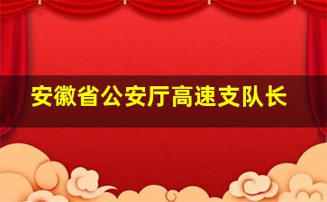 安徽省公安厅高速支队长