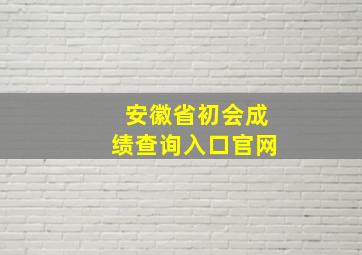 安徽省初会成绩查询入口官网