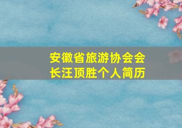 安徽省旅游协会会长汪顶胜个人简历