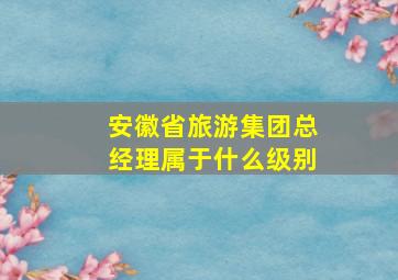 安徽省旅游集团总经理属于什么级别