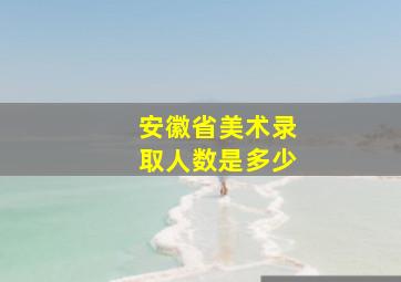 安徽省美术录取人数是多少