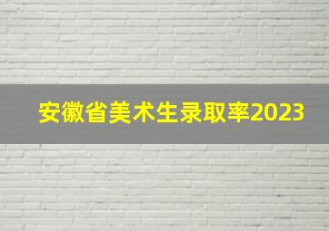 安徽省美术生录取率2023