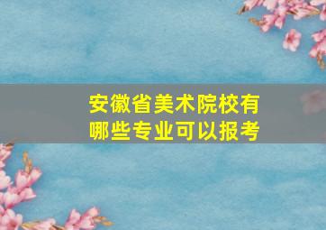 安徽省美术院校有哪些专业可以报考