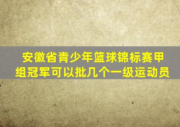 安徽省青少年篮球锦标赛甲组冠军可以批几个一级运动员