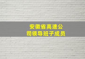 安徽省高速公司领导班子成员