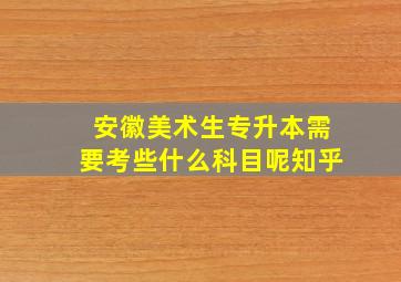 安徽美术生专升本需要考些什么科目呢知乎