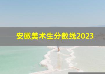 安徽美术生分数线2023