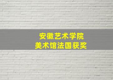 安徽艺术学院美术馆法国获奖