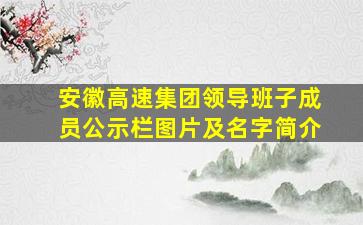 安徽高速集团领导班子成员公示栏图片及名字简介