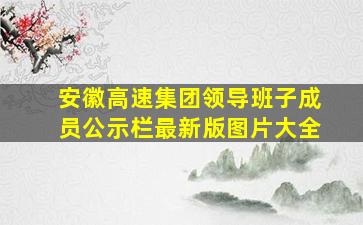 安徽高速集团领导班子成员公示栏最新版图片大全