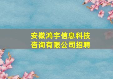 安徽鸿宇信息科技咨询有限公司招聘