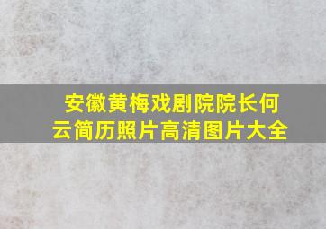 安徽黄梅戏剧院院长何云简历照片高清图片大全