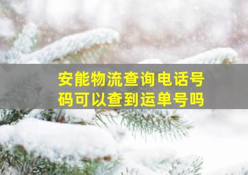 安能物流查询电话号码可以查到运单号吗