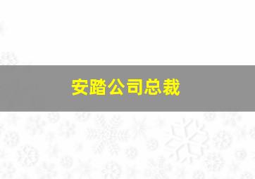 安踏公司总裁