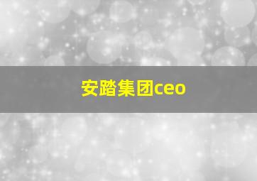 安踏集团ceo