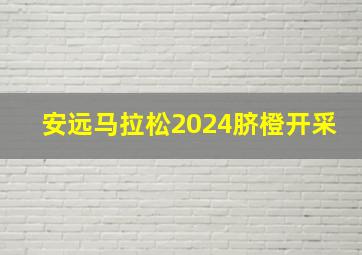 安远马拉松2024脐橙开采