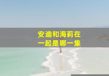 安迪和海莉在一起是哪一集