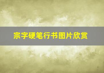 宗字硬笔行书图片欣赏