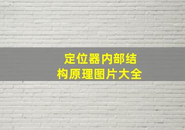 定位器内部结构原理图片大全