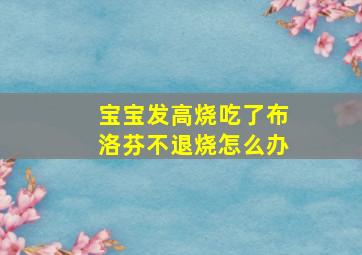 宝宝发高烧吃了布洛芬不退烧怎么办