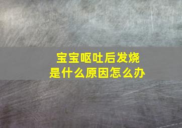 宝宝呕吐后发烧是什么原因怎么办