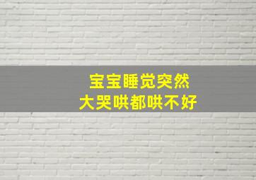 宝宝睡觉突然大哭哄都哄不好