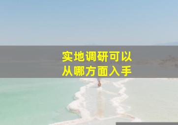 实地调研可以从哪方面入手