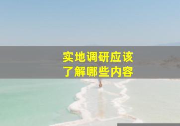 实地调研应该了解哪些内容