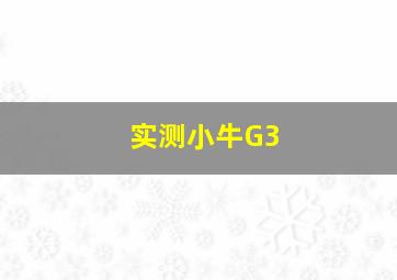 实测小牛G3