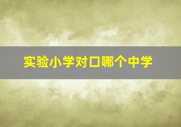 实验小学对口哪个中学