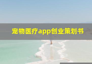 宠物医疗app创业策划书