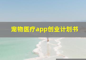 宠物医疗app创业计划书