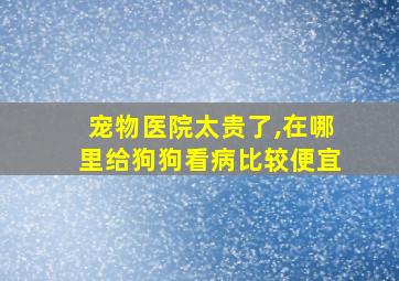 宠物医院太贵了,在哪里给狗狗看病比较便宜