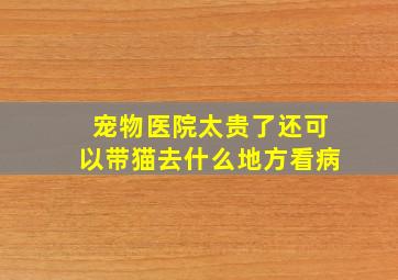 宠物医院太贵了还可以带猫去什么地方看病