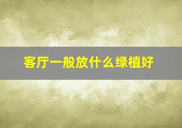 客厅一般放什么绿植好