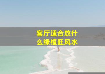 客厅适合放什么绿植旺风水