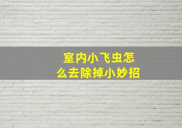 室内小飞虫怎么去除掉小妙招