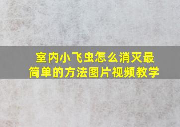 室内小飞虫怎么消灭最简单的方法图片视频教学