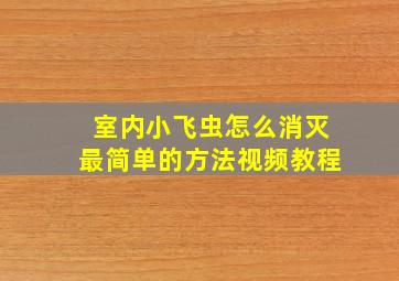 室内小飞虫怎么消灭最简单的方法视频教程