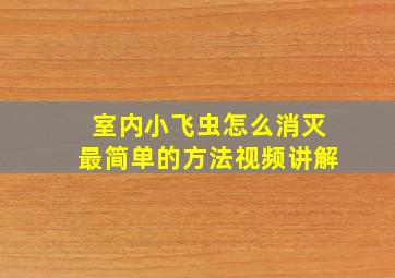 室内小飞虫怎么消灭最简单的方法视频讲解