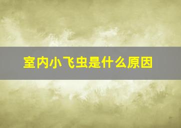 室内小飞虫是什么原因