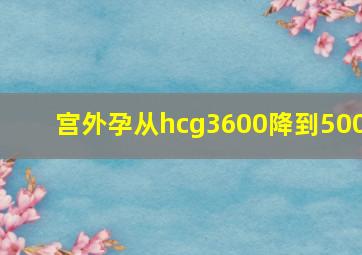 宫外孕从hcg3600降到500