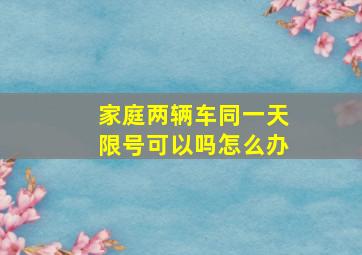 家庭两辆车同一天限号可以吗怎么办