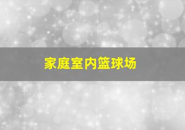 家庭室内篮球场