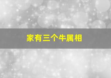 家有三个牛属相