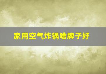 家用空气炸锅啥牌子好