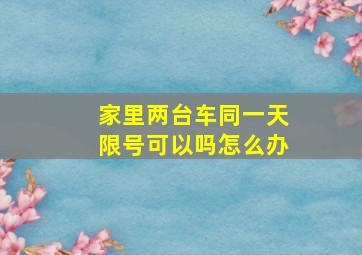 家里两台车同一天限号可以吗怎么办