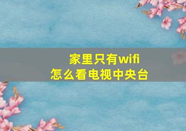 家里只有wifi怎么看电视中央台