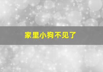 家里小狗不见了