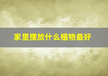 家里摆放什么植物最好